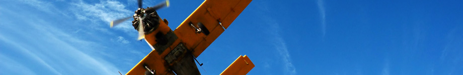 Hit The Beach Rotating Header Image